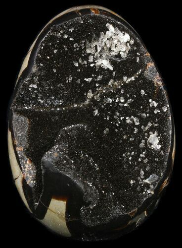 Septarian Dragon Egg Geode - Black Crystals #54576